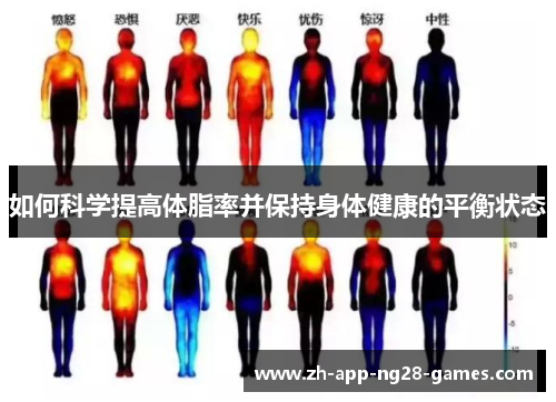 如何科学提高体脂率并保持身体健康的平衡状态