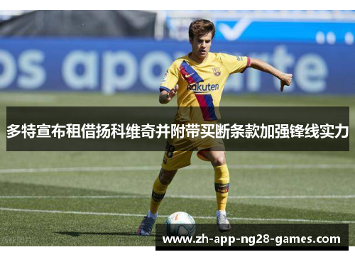 多特宣布租借扬科维奇并附带买断条款加强锋线实力 多特宣布租借扬科维奇并附带买断条款加强锋线实力